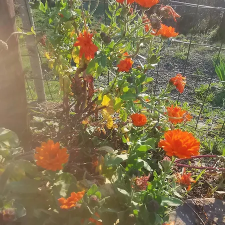 펜션 House - Sleeps 5 Scenic Views Fireplace & Garden Baiardo