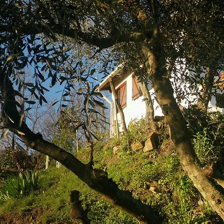 Cozy Retreat In Bajardo