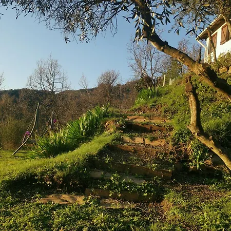 Cozy Retreat In Bajardo Дом отдыха