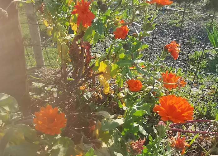 Nyaraló House - Sleeps 5 Scenic Views Fireplace & Garden Baiardo