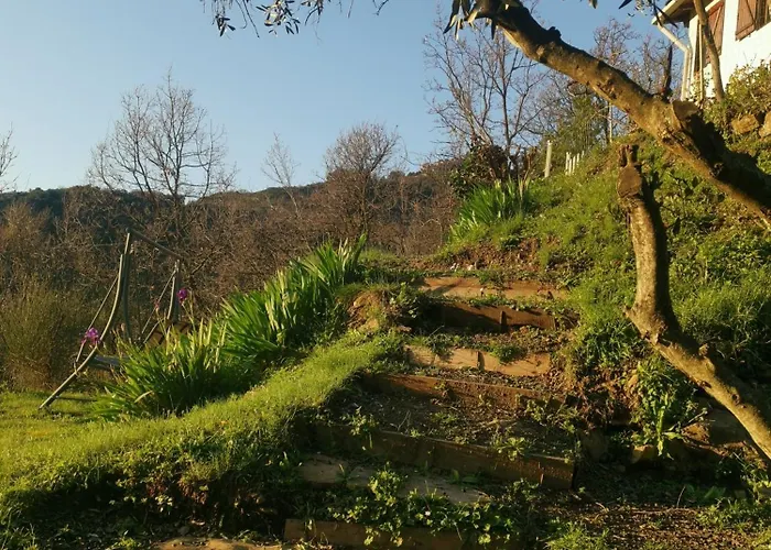 House - Sleeps 5 Scenic Views Fireplace & Garden Nyaraló